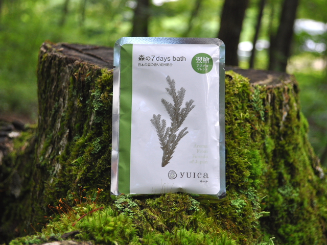 翌檜　アスナロ